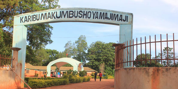 Maji Maji memorial in Songea - The East African