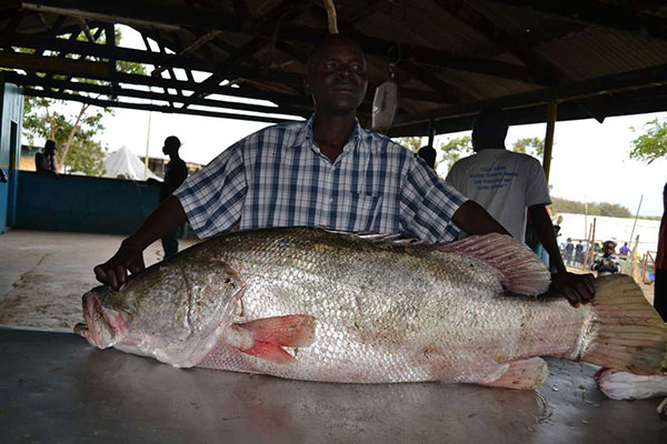 Eac States Launches Operation To Save The Nile Perch The East African