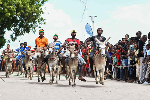 Lamu Cultural Festival - The East African