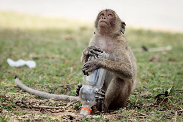 IOC Sub Commission for Africa and the Adjacent Island States - Uhuru  Kenyatta bans single-use plastic products in parks, beaches