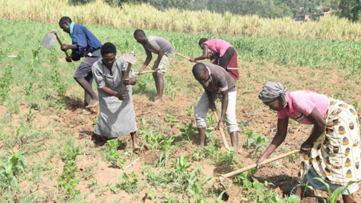 Adapting African agriculture to climate change  The East African