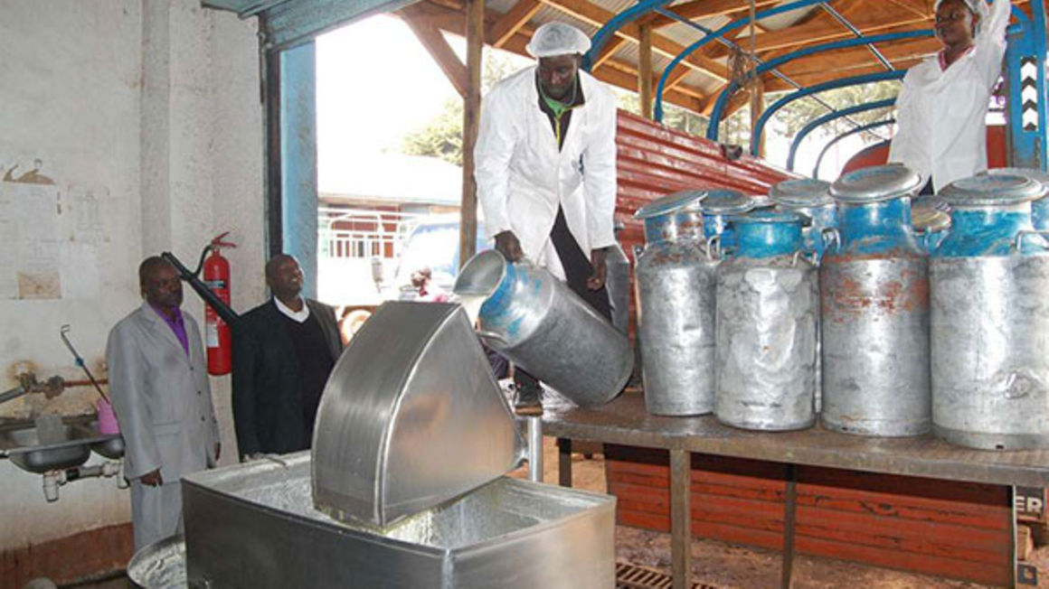 Milk imports from Uganda baffle Kenyan officials - The East African