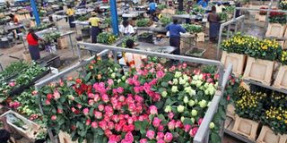 Flower exports.