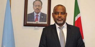 Somalia Ambassador.