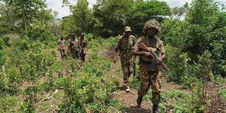 Soldiers.