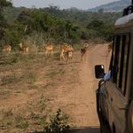Tourism Rwanda.
