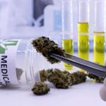 Medical Cannabis.