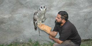 Shiv Kapila with a Vereaux’s eagle owl. 