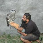 Shiv Kapila with a Vereaux’s eagle owl. 