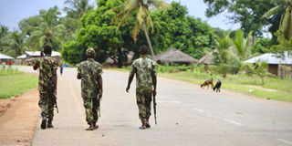 Soldiers in Mozambique.