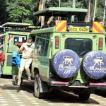 Travel firms 