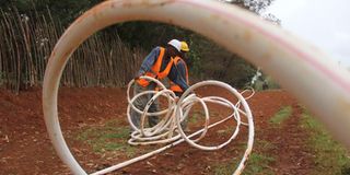 Workers lay a fibre optic cable