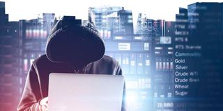 The Pegasus spyware 