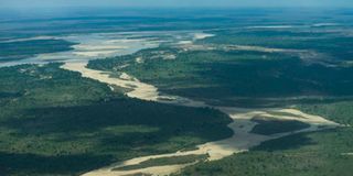 Selous Game Reserve.