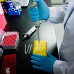 A researcher conducts tests.