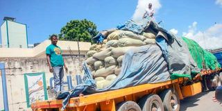 A truckload of maize 