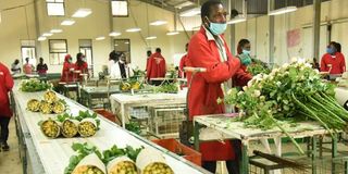 Workers prepare flowers for export. 