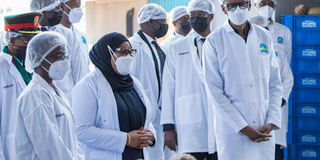 Presidents Paul Kagame and Samia Suluhu.