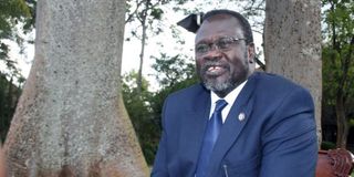 SPLM in Opposition leader Dr Riek Machar during a past interview in Nairobi.