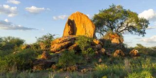 A Kopje in the Meru National Park Kenya