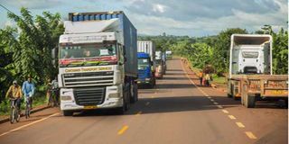 Rwanda cargo- exports