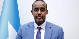 Somali Prime Minister Mohamed Hussein Roble. 