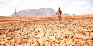 The parched landscape at Lerata, Samburu
