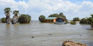 Houses destroyed by Lake Turkana water 