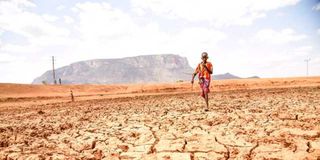 The parched landscape at Lerata, Samburu