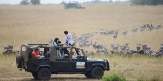 Tourists in the Serengeti National Park