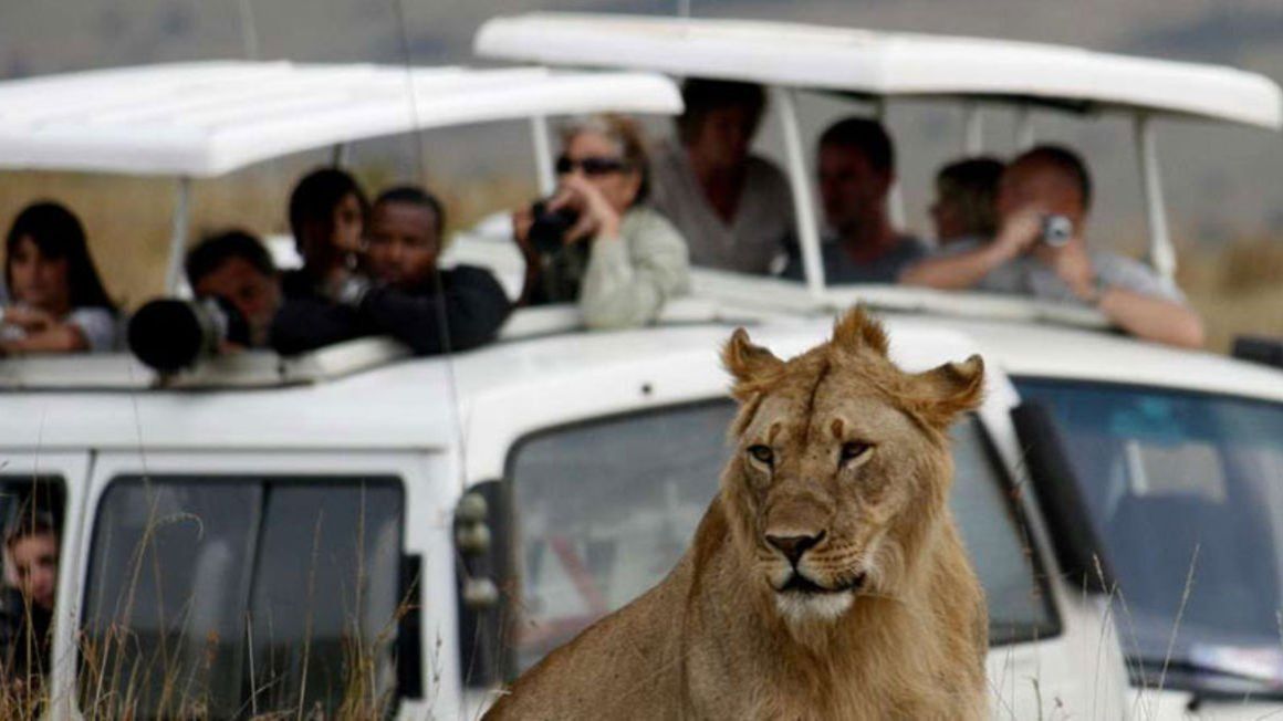 Tourists at the Masai Mara Game Reserve in Kenya.