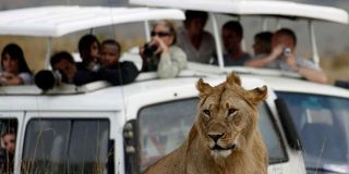 Tourists at the Masai Mara Game Reserve in Kenya.