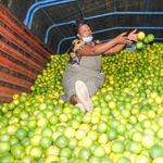 A Kenyan trader 