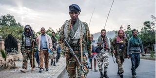 Young pro-TPLF soldiers
