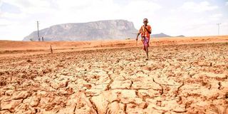 The parched landscape at Lerata, Samburu