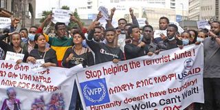 Addis protest