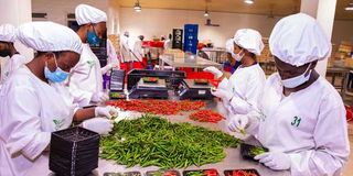 NAEB Horticulture Packing House in Rwanda