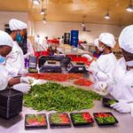 NAEB Horticulture Packing House in Rwanda