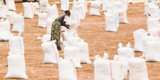 The UN World Food Programme