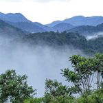 Bwindi Impenetrable Forest National Park