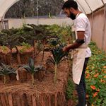 Chef Khaled
