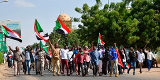 Sudan protesters 