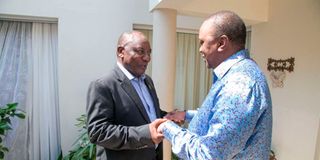 South Africa's Cyril Ramaphosa and Kenya's Uhuru Kenyatta.