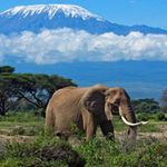 Mount Kilimanjaro 