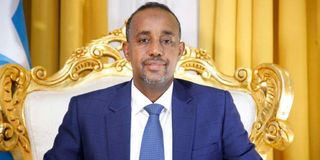 Somali Prime Minister Mohamed Hussein Roble.