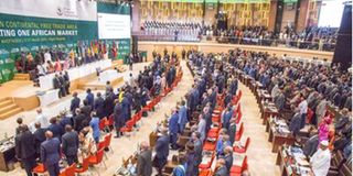 Participants at the signing of the African Continental Free Trade Area in Kigali, Rwanda.