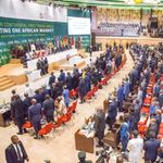 Participants at the signing of the African Continental Free Trade Area in Kigali, Rwanda.