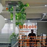 Cryptocurrencies 