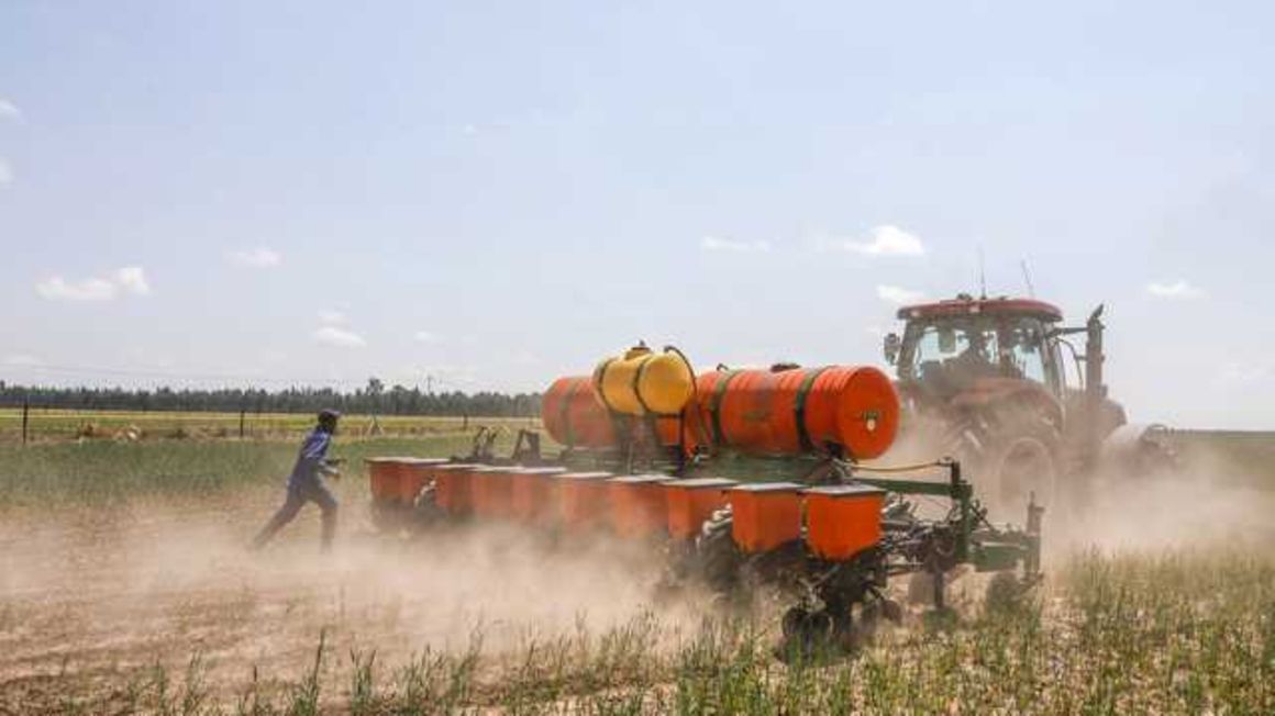 Planting soy beans in Balfour, South Africa.