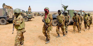 Soldiers of the Malian Forces 